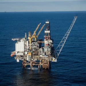 Featured-Image-Bestla-Field