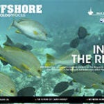 Offshore Technology Focus: Issue 32