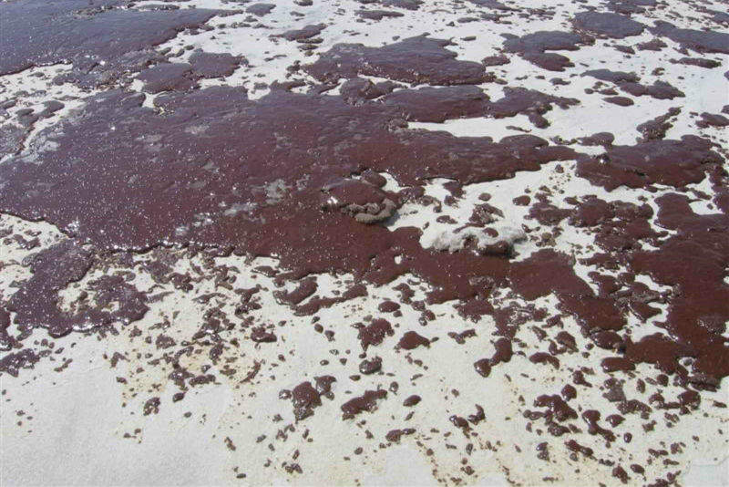 Oil spills in the ocean
