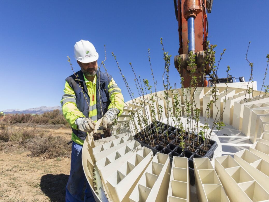A Shell worker plants trees to increase carbon offsetting