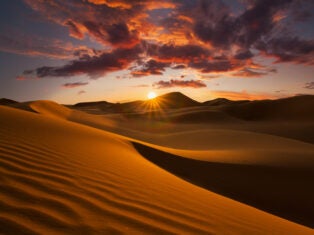 Egyptian exploration: can a desert be green?
