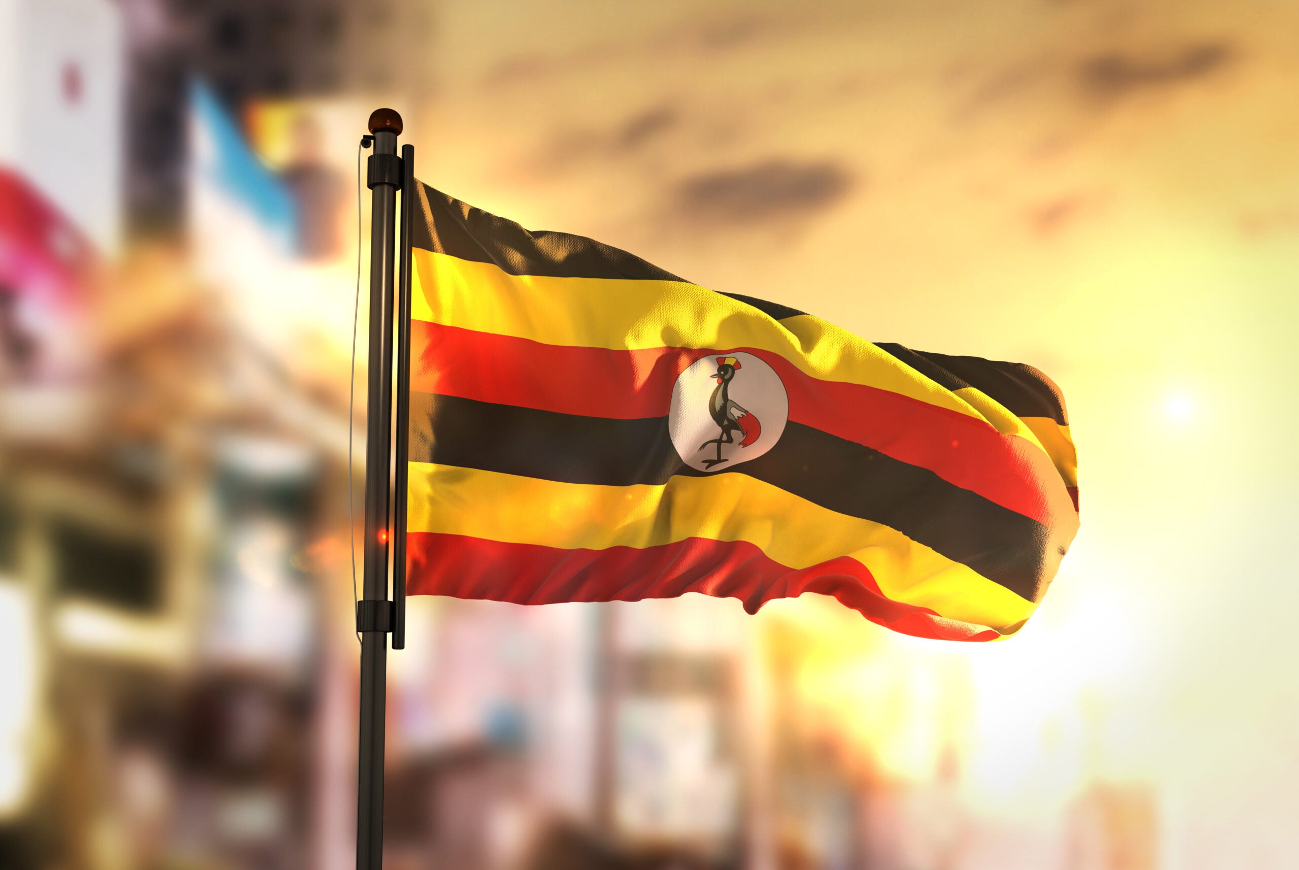 Uganda finalises deal with TotalEnergies, CNOOC to develop crude reserves