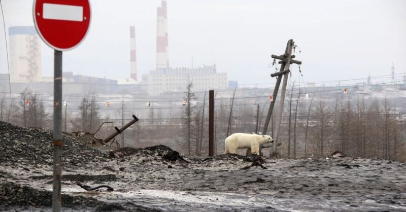 The enduring threat to the Arctic from Big Oil - Vimarsana News