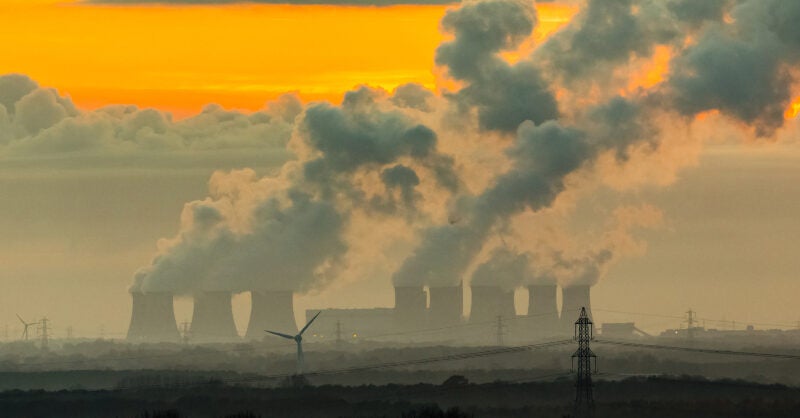 Carbon offsetting could delay net-zero targets: CCC report - Vimarsana News