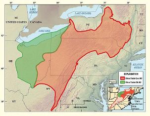 Utica shale