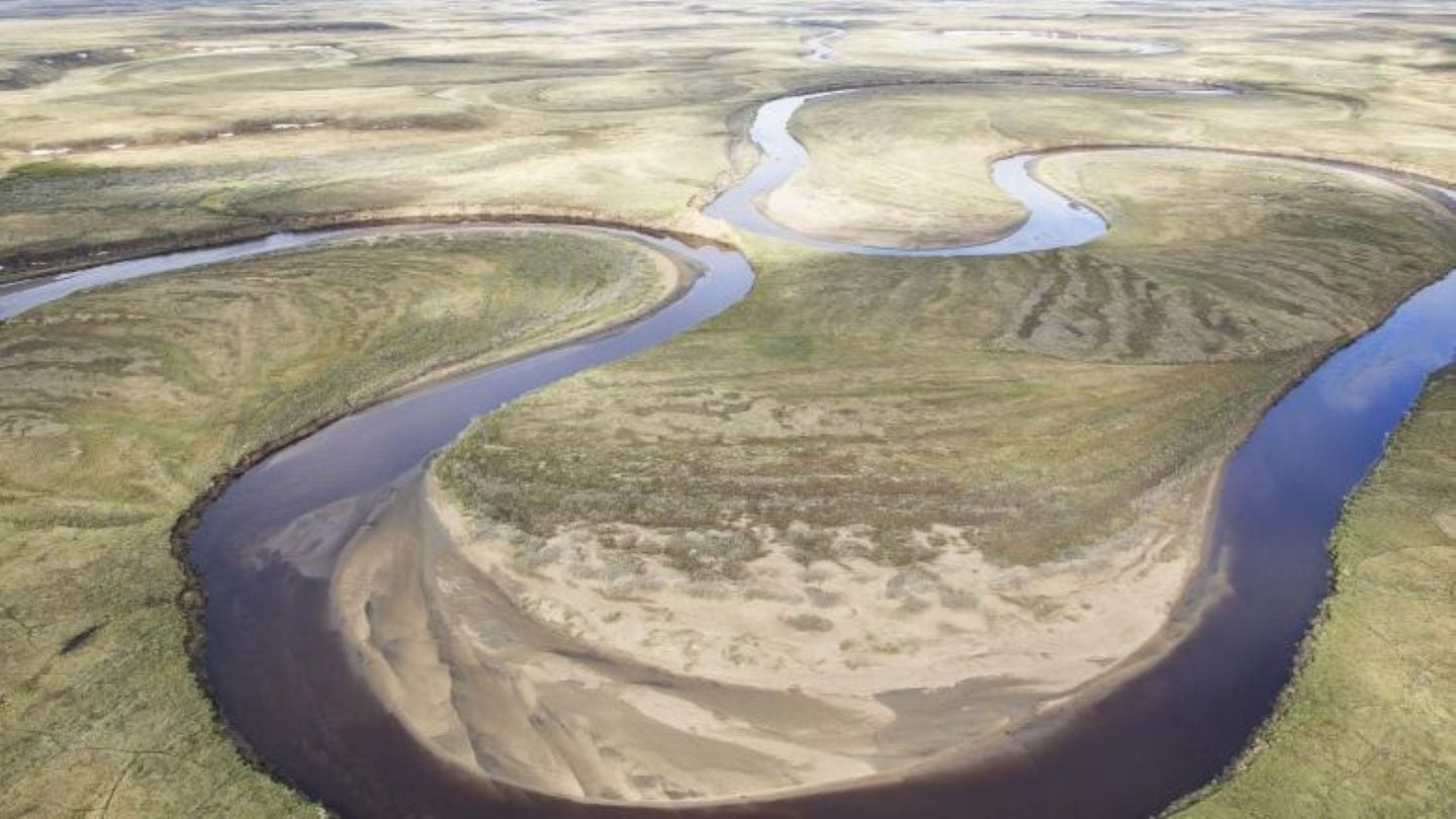 Congress Nullifies BLM's National Petroleum Reserve in Alaska Drilling Plan