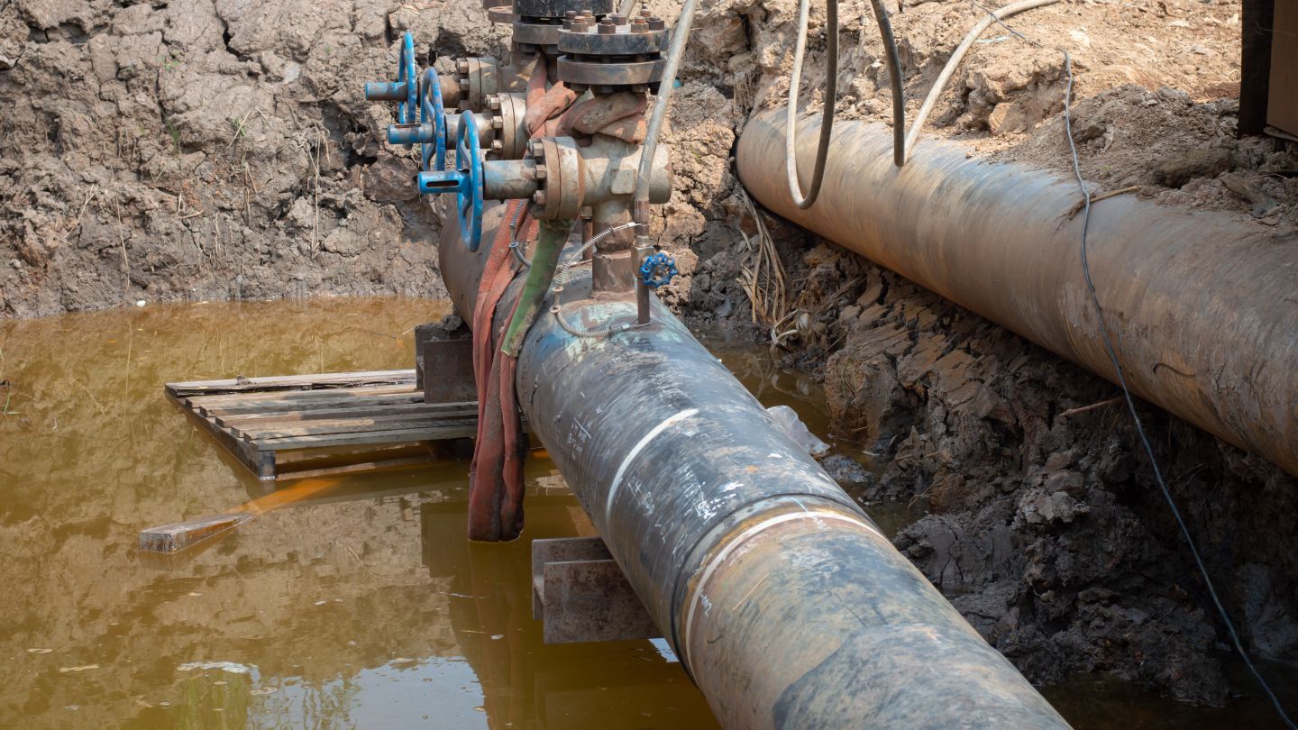 Greenpeace faces $345m payment order in Dakota Access protest case