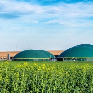 Modern,Biogas,Plant,Between,Rapeseed,Fields,In,A,Rural,Region