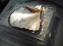 Global Tcc Offshore Technology Oil And Gas News And - 